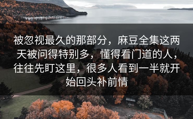 被忽视最久的那部分，麻豆全集这两天被问得特别多，懂得看门道的人，往往先盯这里，很多人看到一半就开始回头补前情