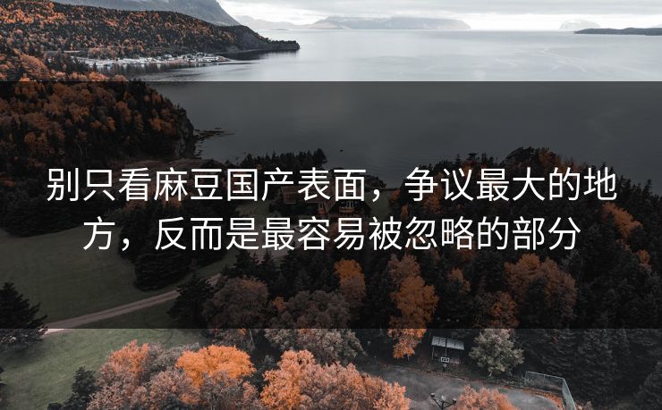 别只看麻豆国产表面,争议最大的地方,反而是最容易被忽略的部分 别只看麻豆国产表面,争议最大的地方,反而是最容易被忽略的部分