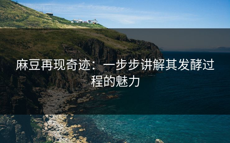 麻豆再现奇迹：一步步讲解其发酵过程的魅力